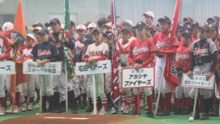 今週の速報＆出没は・・・、 