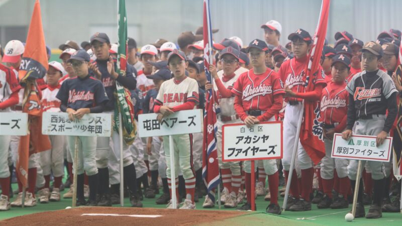今週の速報＆出没は・・・、 