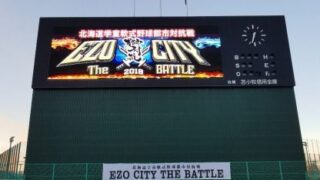 発行人、とましんスタジアムに出没しました！ 