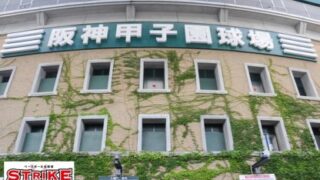 センバツ大会中止・・・ウォッチ！ 