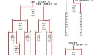 優勝は旭川大雪ボーイズ 準V札幌豊平＜全国2次予選＞ 