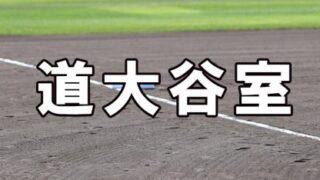 道大谷室蘭ベンチ入りメンバー＜2023夏＞ 