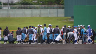 雨降って、垣根越える 
