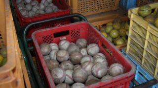 ケガをした場合の対処 