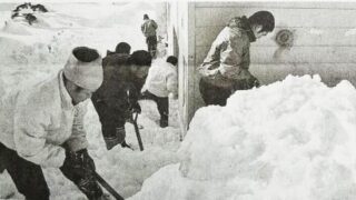 鵡川高野球部員ら除雪で恩返し 