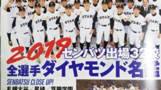 『輝け甲子園の星』を読んで 