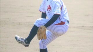元北海・玉熊さん（明治安田生命）が引退 
