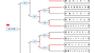 【25日速報】優勝は東川大雪！準Ｖ新富＜空知冬季大会＞ 