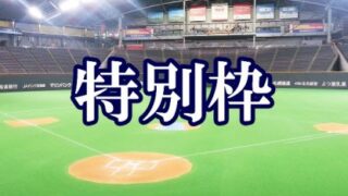 ４年連続８度目・東16丁目フリッパーズ代表掴む！＜FBCU12＞ 