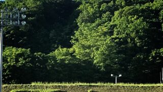 東海大札幌、東都王者破る大金星！　　東農大オホーツクは初戦惜敗 