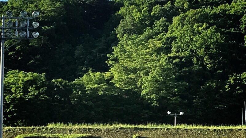 東海大札幌、東都王者破る大金星！　　東農大オホーツクは初戦惜敗 