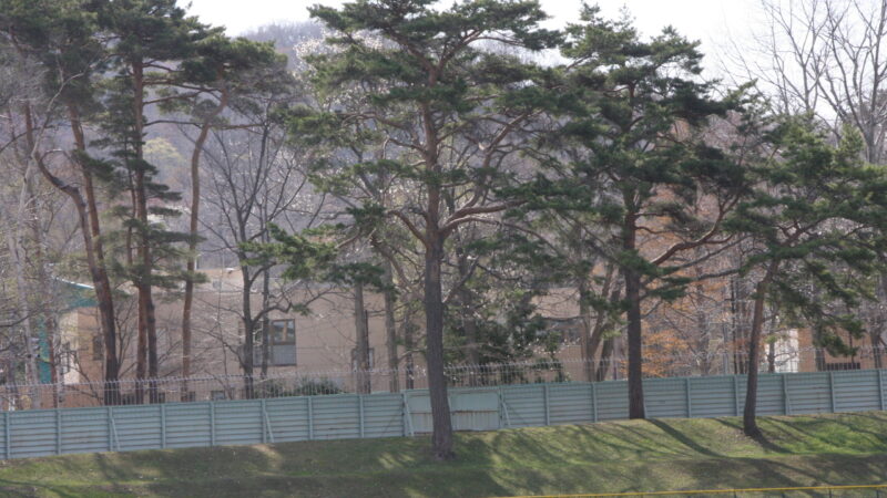 明日の出没は・・・ 