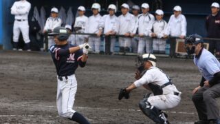 今週の出没は・・・、 