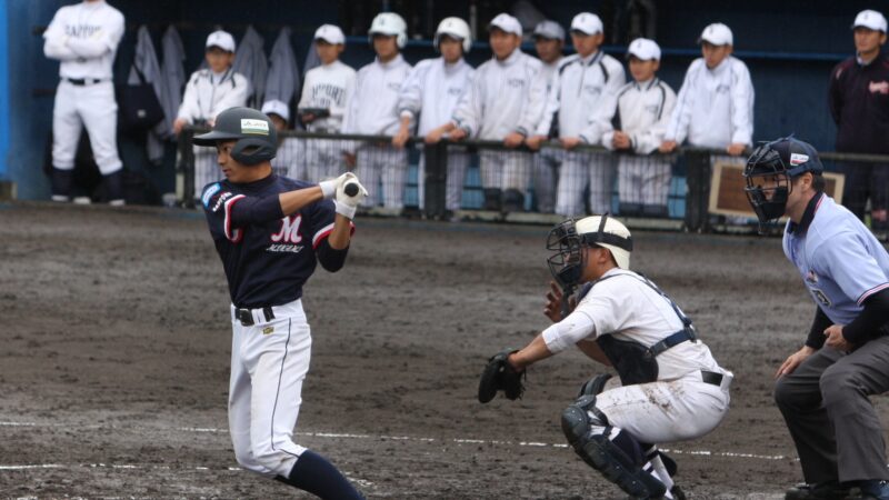 今週の出没は・・・、 
