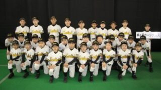 【球春企画】羊ヶ丘カージナルス編 