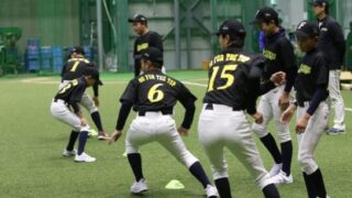 発行人、厚別区大谷地に出没。 