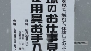 【投稿】プロ野球のお仕事（動画付） 