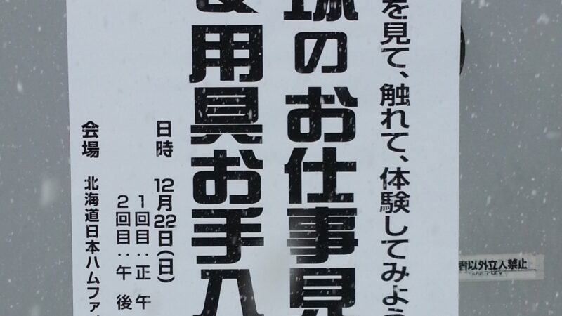 【投稿】プロ野球のお仕事（動画付） 