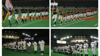 今週の出没は・・・、 