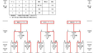 優勝は緑丘ホーマーズ　準Ｖ幌南＜秋季大会＞ 