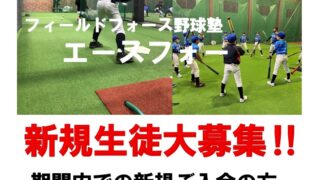 ボールパーク札幌ボールパーク旭川　エースフォー新規入会キャンペーンのご案内 