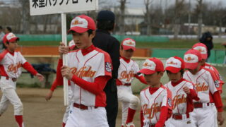 米里バッファローズ 