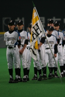 日本ハムJr
