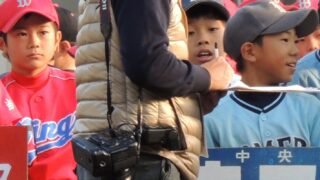 今週の出没は・・・ 