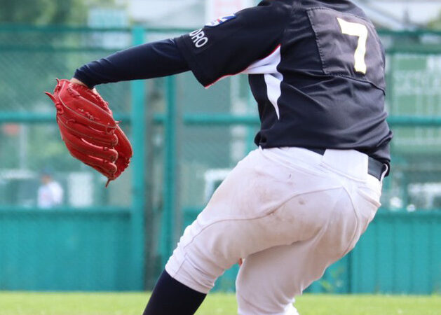 ８．１１交流戦参加者＜select１＞ 