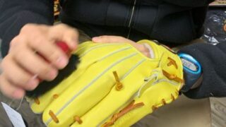 お手入れにおける「ブラッシング」の重要性 