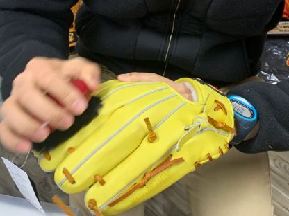 お手入れにおける「ブラッシング」の重要性 