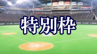【組合せ】(Fs)特別枠予選 