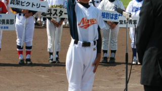 道少軟連 