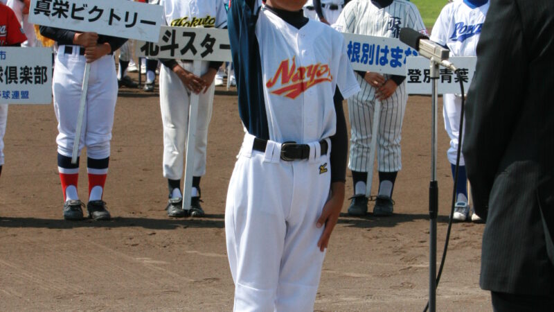 道少軟連 