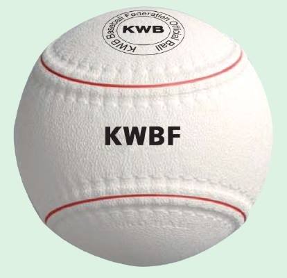 【16、17日試合結果】知事杯北北海道大会 