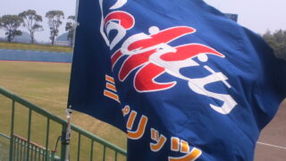 【どさんこ日記②】龍馬旗 