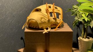コラム100回を祝して、 新サービスを展開します 