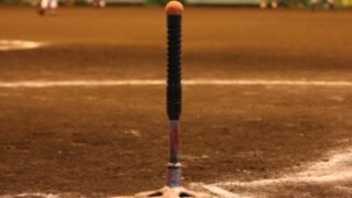 ＜中止＞２０２０ちびっこティーボール大会 