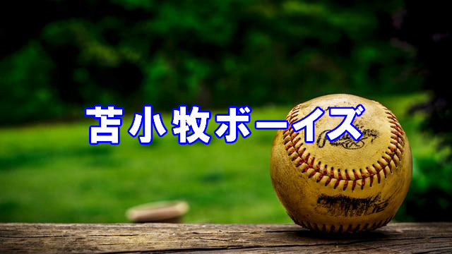 苫小牧ボーイズ、初戦で涙＜全国大会＞ 