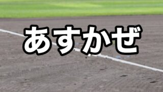 札幌あすかぜベンチ入り＜2026秋＞ 
