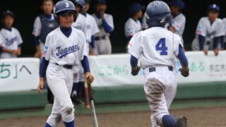 今週の出没は・・・ 