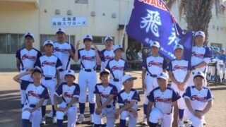 【12日速報】飛翔スワローズ、2回戦で涙！＜淡路都市対抗＞ 