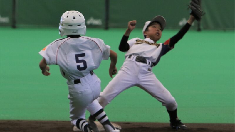 明日からの出没は・・・、 