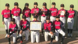 準Vダイヤモンドガールズ　函館ビーナス３位＜東北小学生女子＞ 