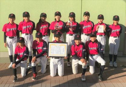 準Vダイヤモンドガールズ　函館ビーナス３位＜東北小学生女子＞ 