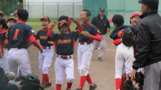 ポルテ、旋風起こす　目標は「全道」 
