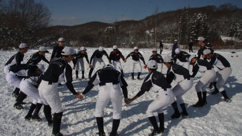 札幌北広島ボーイズを取材！【予告】 