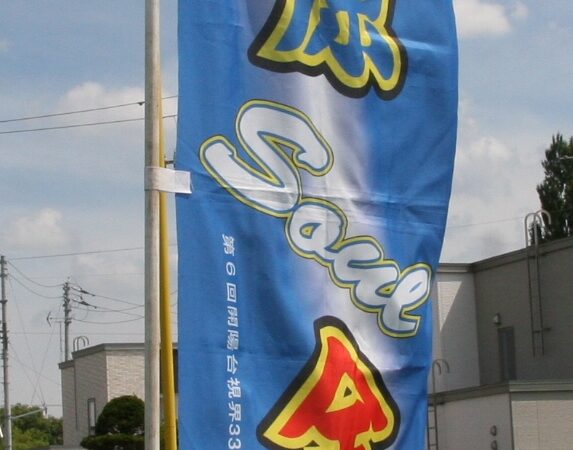 【フォトグラフ②】2015はじける夏 