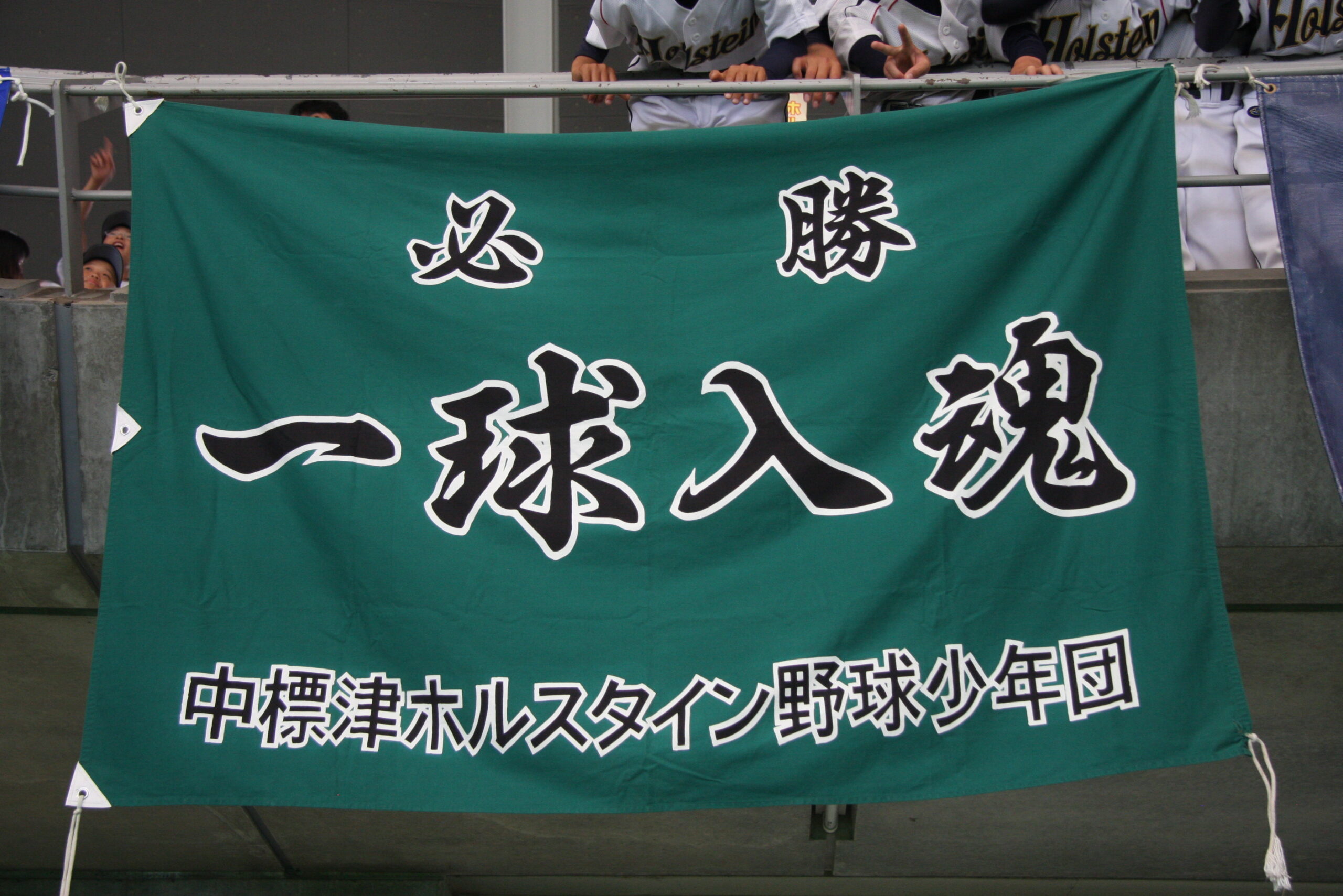 中標津ホルシタイン(一球入魂)