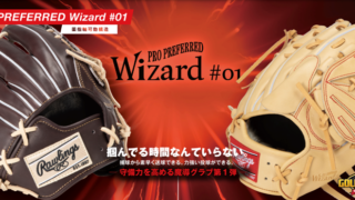 名作の歴史シリーズ③ローリングス 